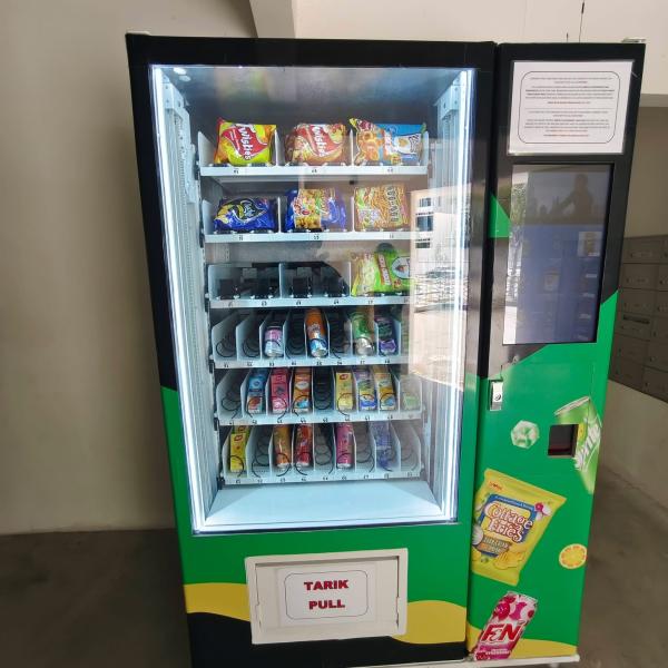 VM model