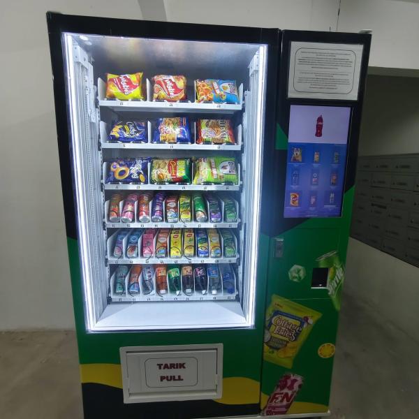 VM model