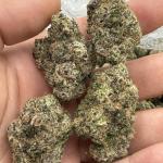 Glitter Bomb aka “El Chivo #5”