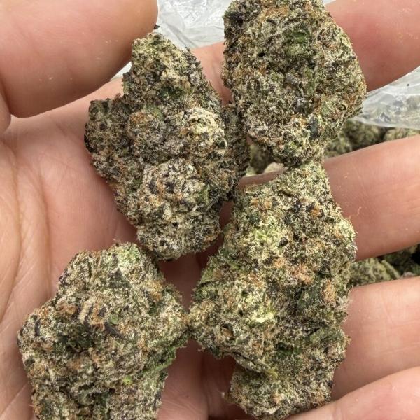 Glitter Bomb aka “El Chivo #5”