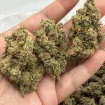 Blue City Diesel