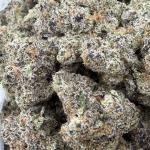 Gummie Bearz by Backpack Boyz