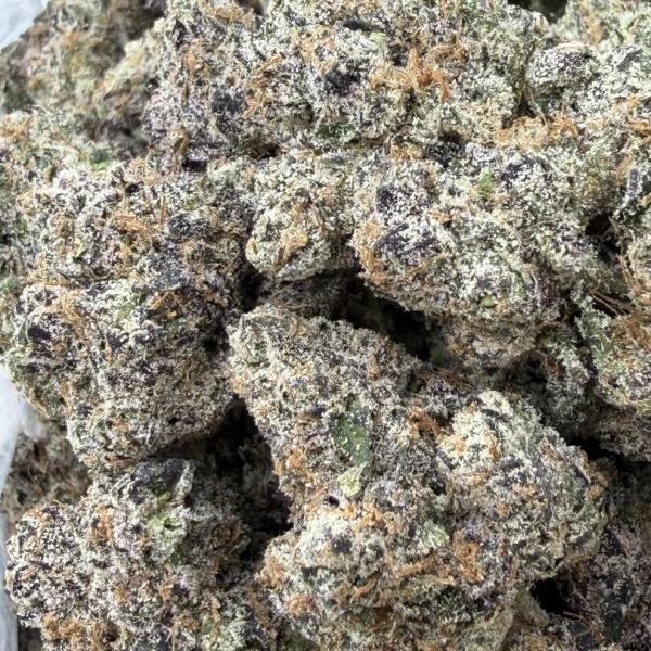 Gummie Bearz by Backpack Boyz