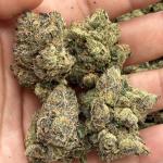 Blue Warhead
