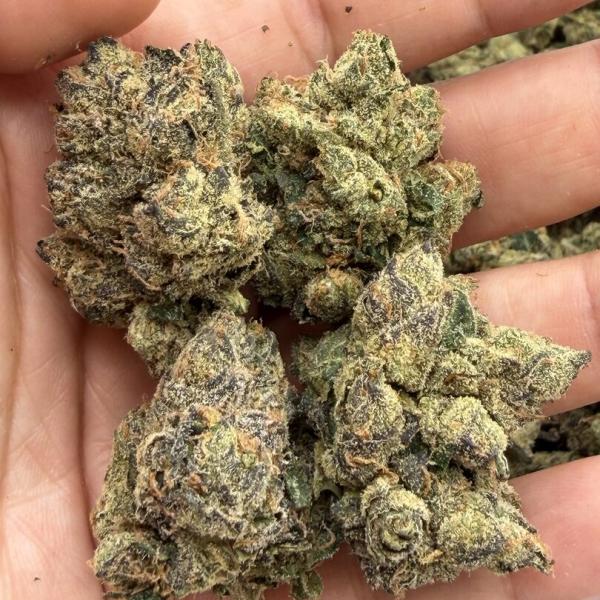 Blue Warhead