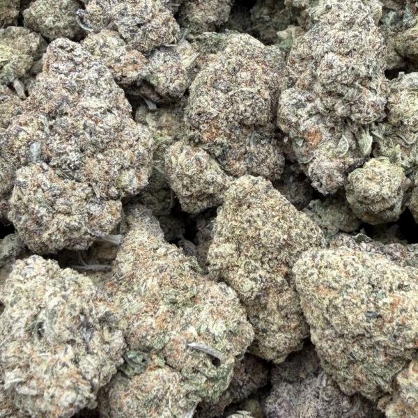 White Cherry Gelato