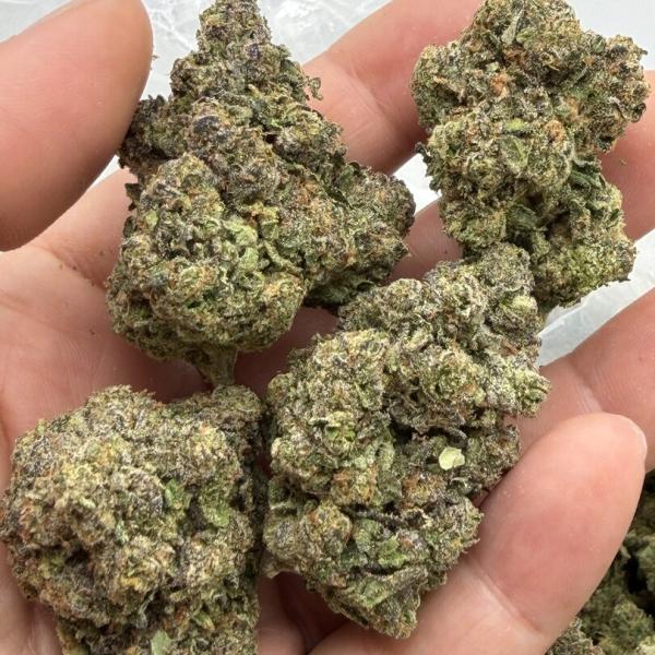 Black Cherry Jealousy