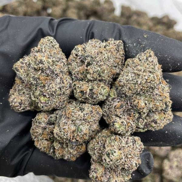 Gelato