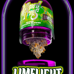 Wizard Trees Limelight (3.5g/jar sealed)