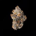 Wizard Trees Limelight (3.5g/jar sealed)