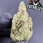 Premium OG Glue (B92)