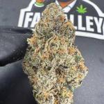 Candy Fumez B97
