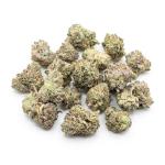 GMO Sherbert Smalls