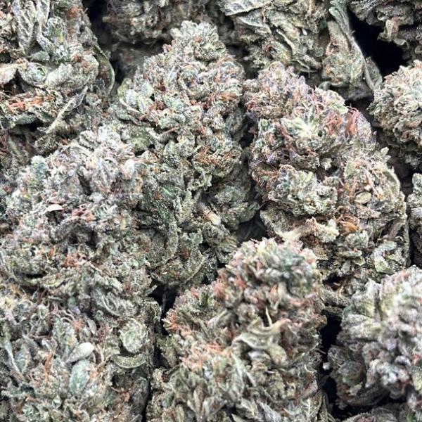 Sunset Sherbet