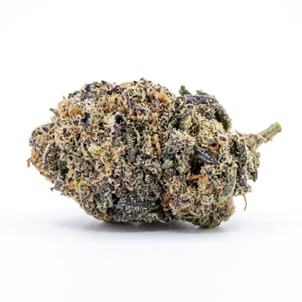 Gelato King