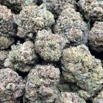 Gelato King