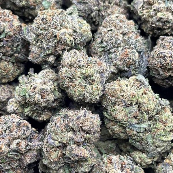 Gelato King