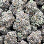 Lemon Cherry Royale
