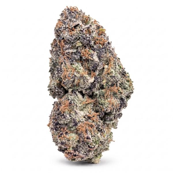 Cherry Gelato Rush