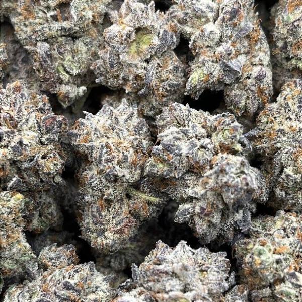 White Trufflez