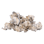 Enigma | Magic Mushrooms | Ounce
