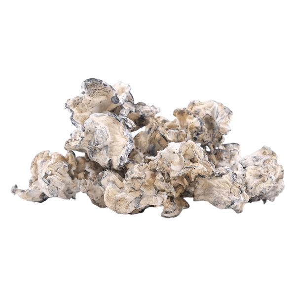 Enigma | Magic Mushrooms | 3.5