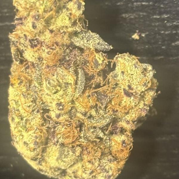Mardi Gras Candy (Hybrid) 3.5
