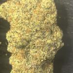 SKS (Indica) 3.5