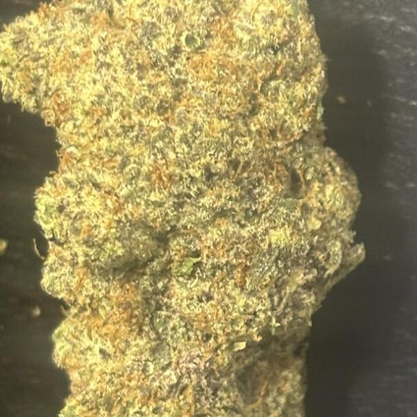 SKS (Indica) 3.5