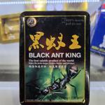 Black ant king