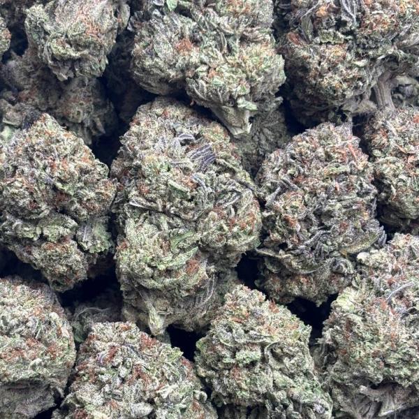 GORILLA KING (GK50)