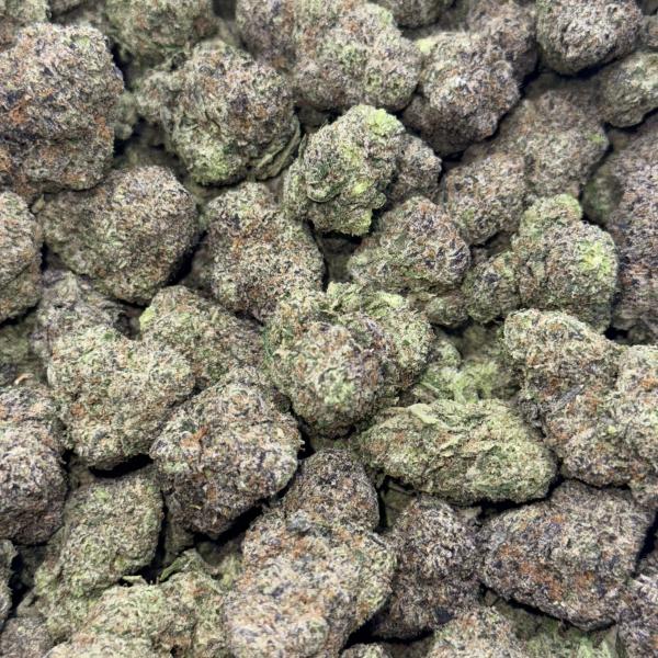 Higher Horse (H1) 2X