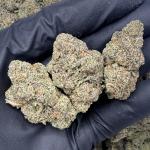 Double Seven (D7-R20)