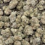 Raspberry Bunch (RB21)