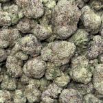 Lemon Zlushie (L128)