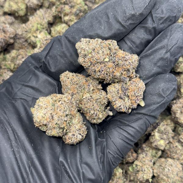 Purple GumBall (GBP)