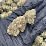 Caramel Gelato (CG100)