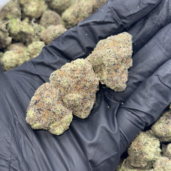 Caramel Gelato (CG100)