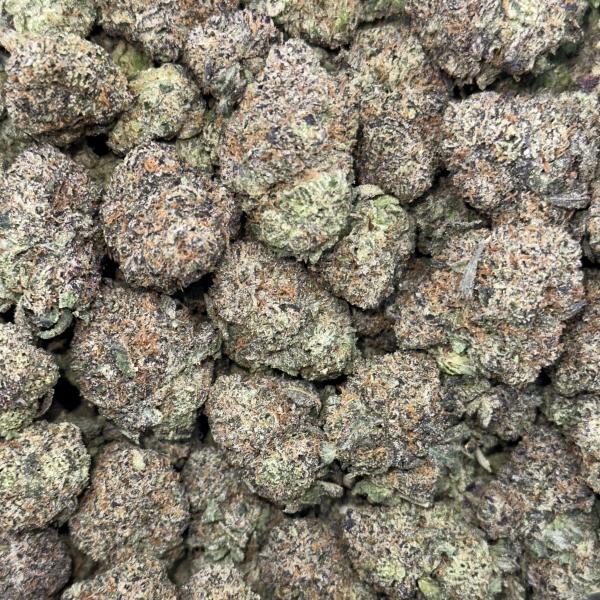 GusherBurst (GB)