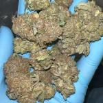PURPLE PLATINUM