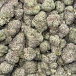 Lava Cake Gelato (LCG54)