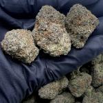 Casper Cherry Gelato (CCG65)