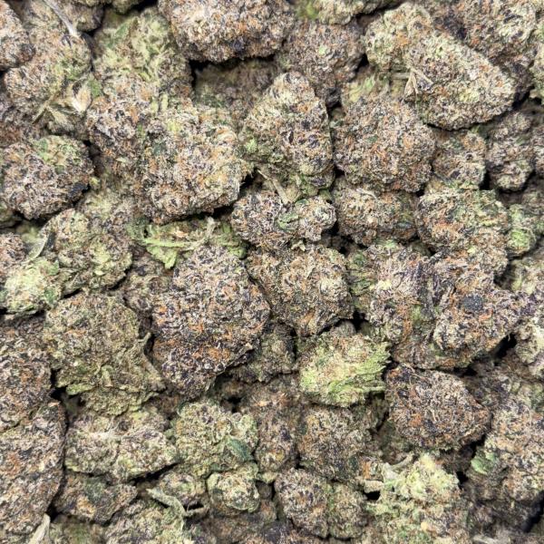 Purple GumBall (GBP)