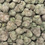 Grease Berriez (GB83)