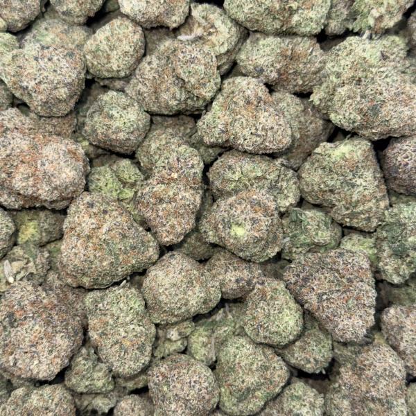 Grease Berriez (GB83)