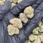 Grease Berriez (GB83)