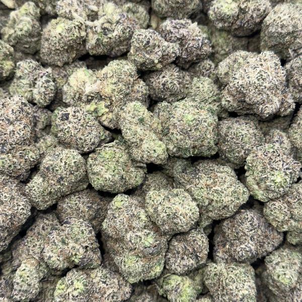 Gummy Bears (GB43)