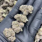 BlackBerry Runtz (BR)