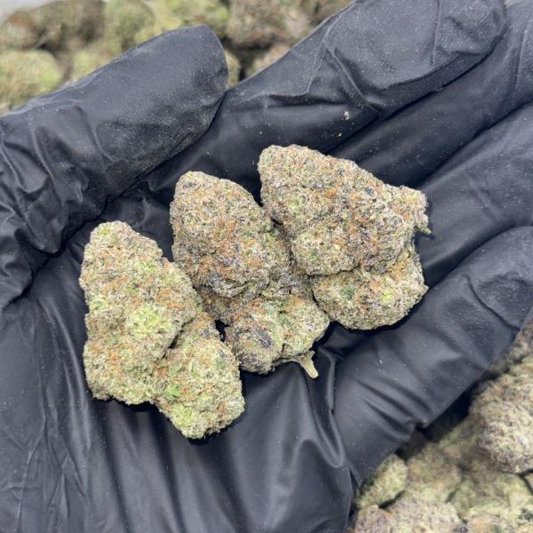 Higher Horse (H1) 2X