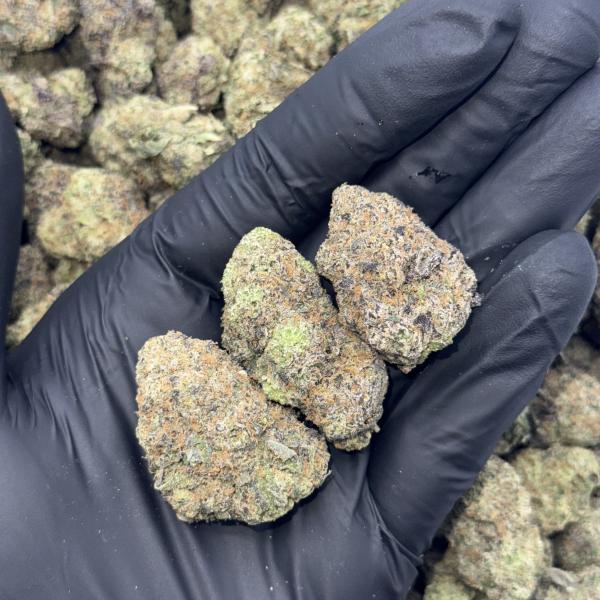 CHERRY GELATO (CG)
